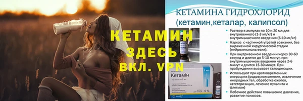 ПСИЛОЦИБИНОВЫЕ ГРИБЫ Верхний Тагил