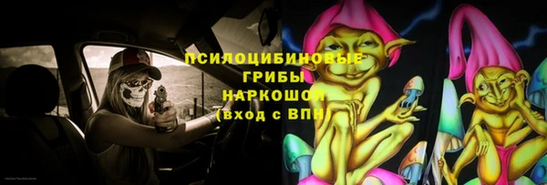 ПСИЛОЦИБИНОВЫЕ ГРИБЫ Верхний Тагил