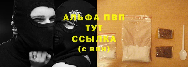 ПСИЛОЦИБИНОВЫЕ ГРИБЫ Верхний Тагил