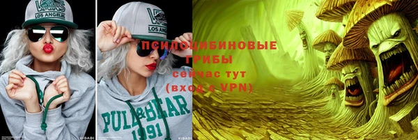 ПСИЛОЦИБИНОВЫЕ ГРИБЫ Верхний Тагил