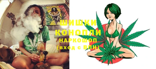 ПСИЛОЦИБИНОВЫЕ ГРИБЫ Верхний Тагил