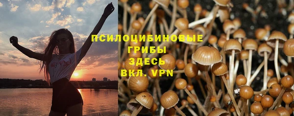 MESCALINE Верея