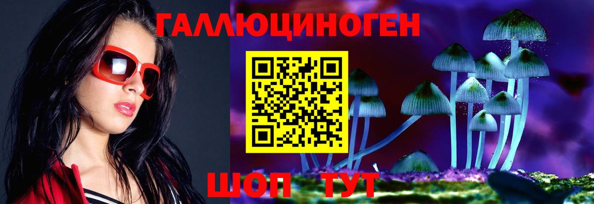 Галлюциногенные грибы GOLDEN TEACHER  Вход с VPN  Галлюциногенные грибы прущие грибы  Магнитогорск 